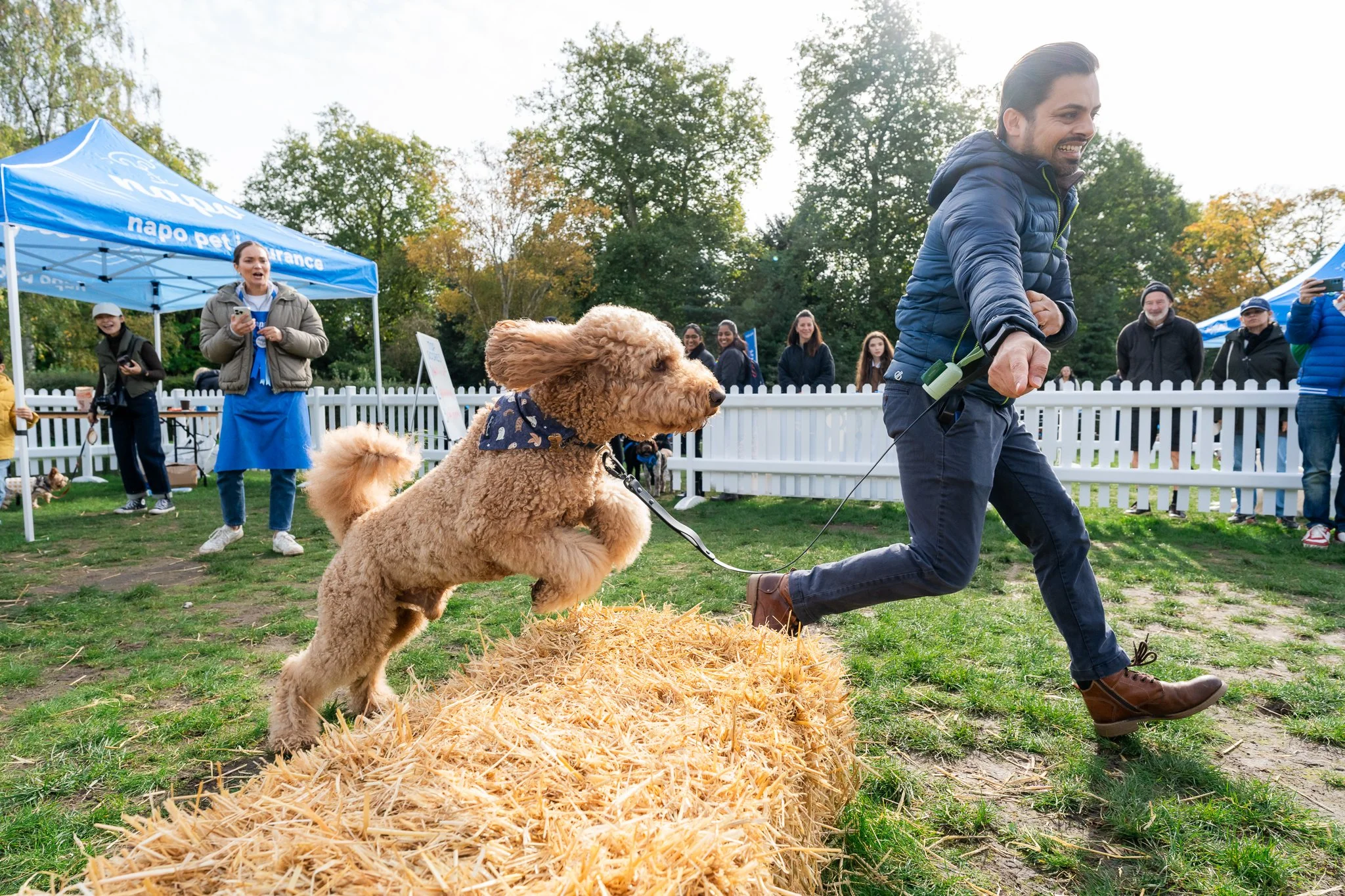 Napo Dog Fete 2024-1021.jpg