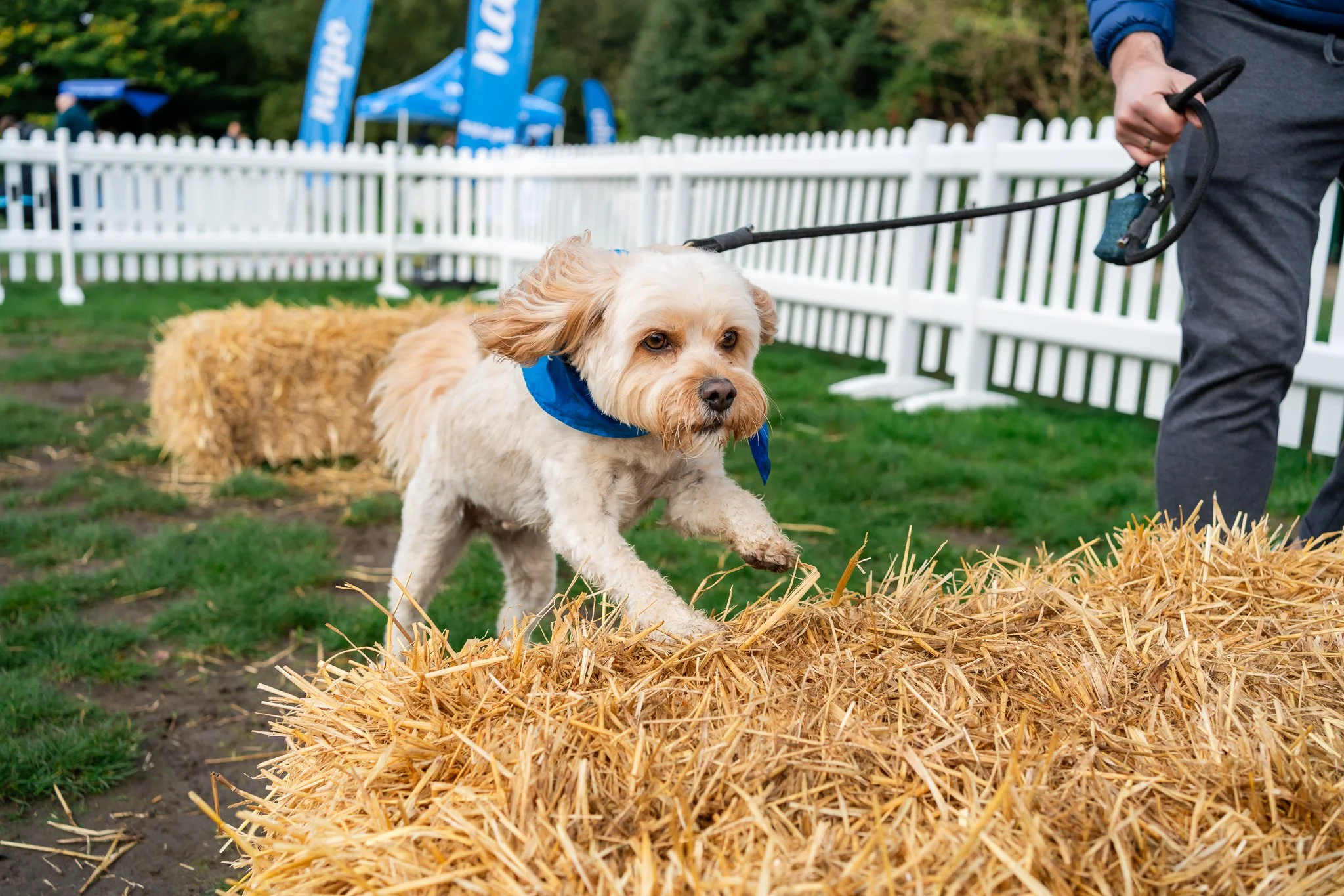 Napo Dog Fete 2024-811.jpg