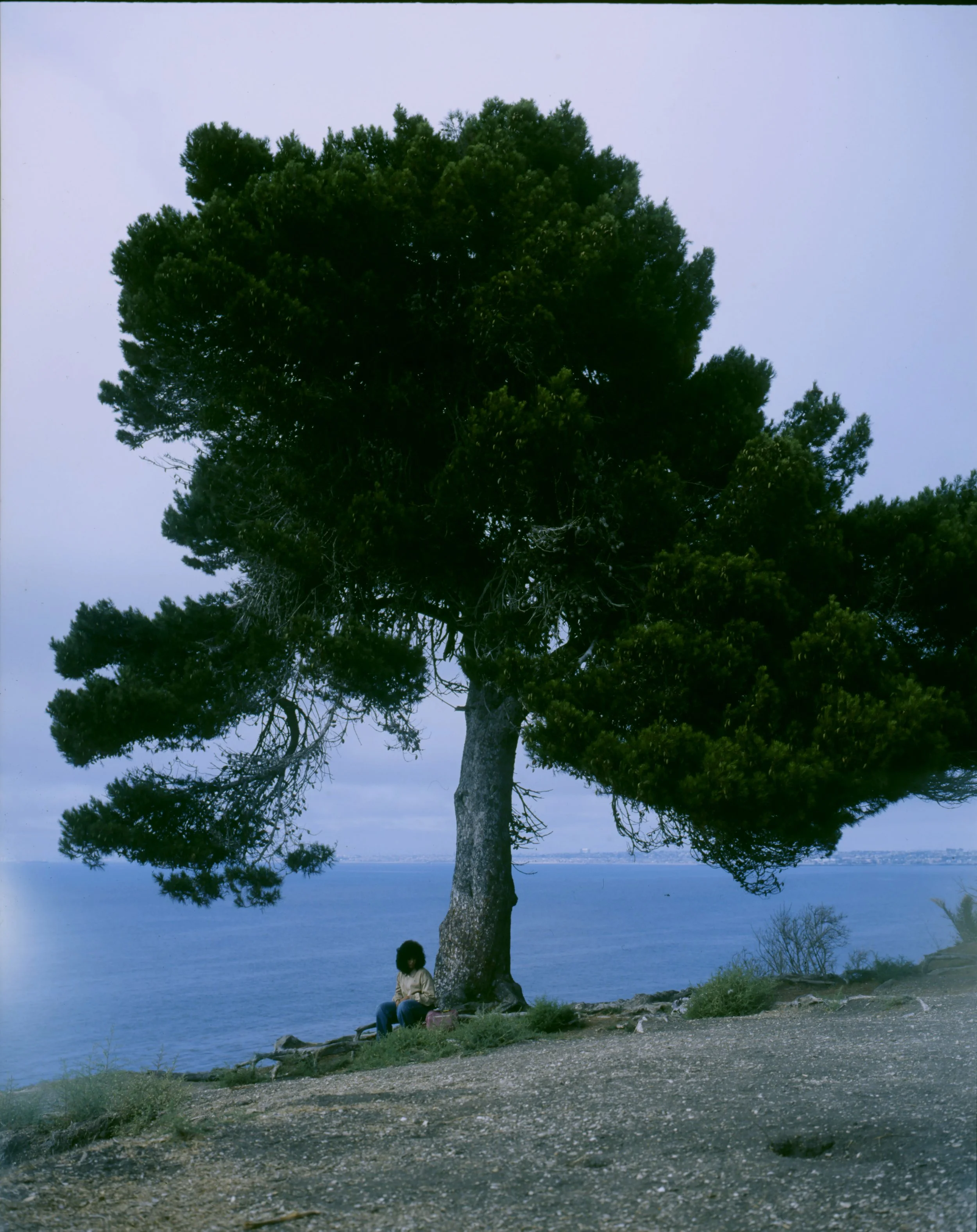 SS2405 copy.jpg