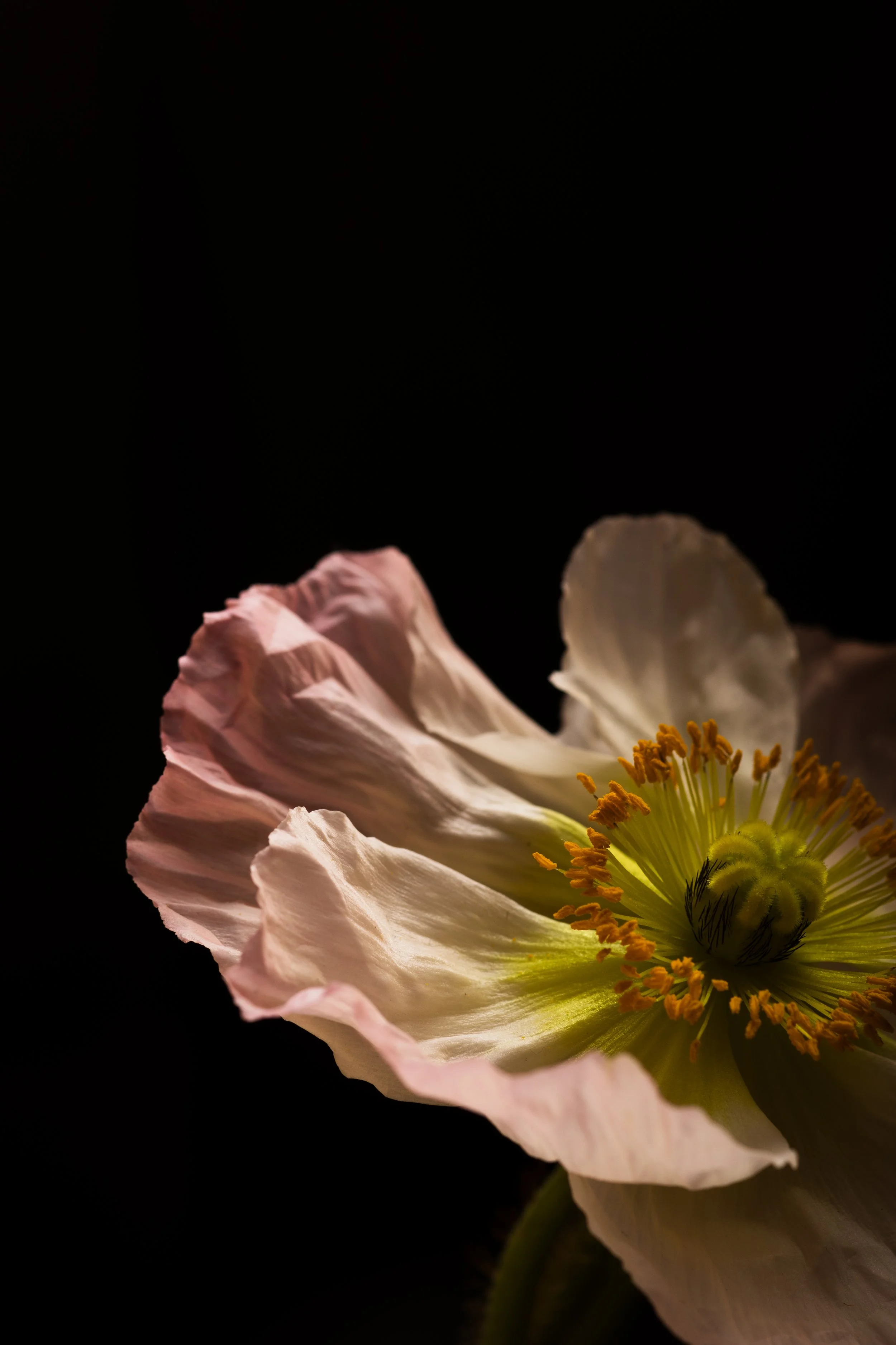 0H6A0887.jpg