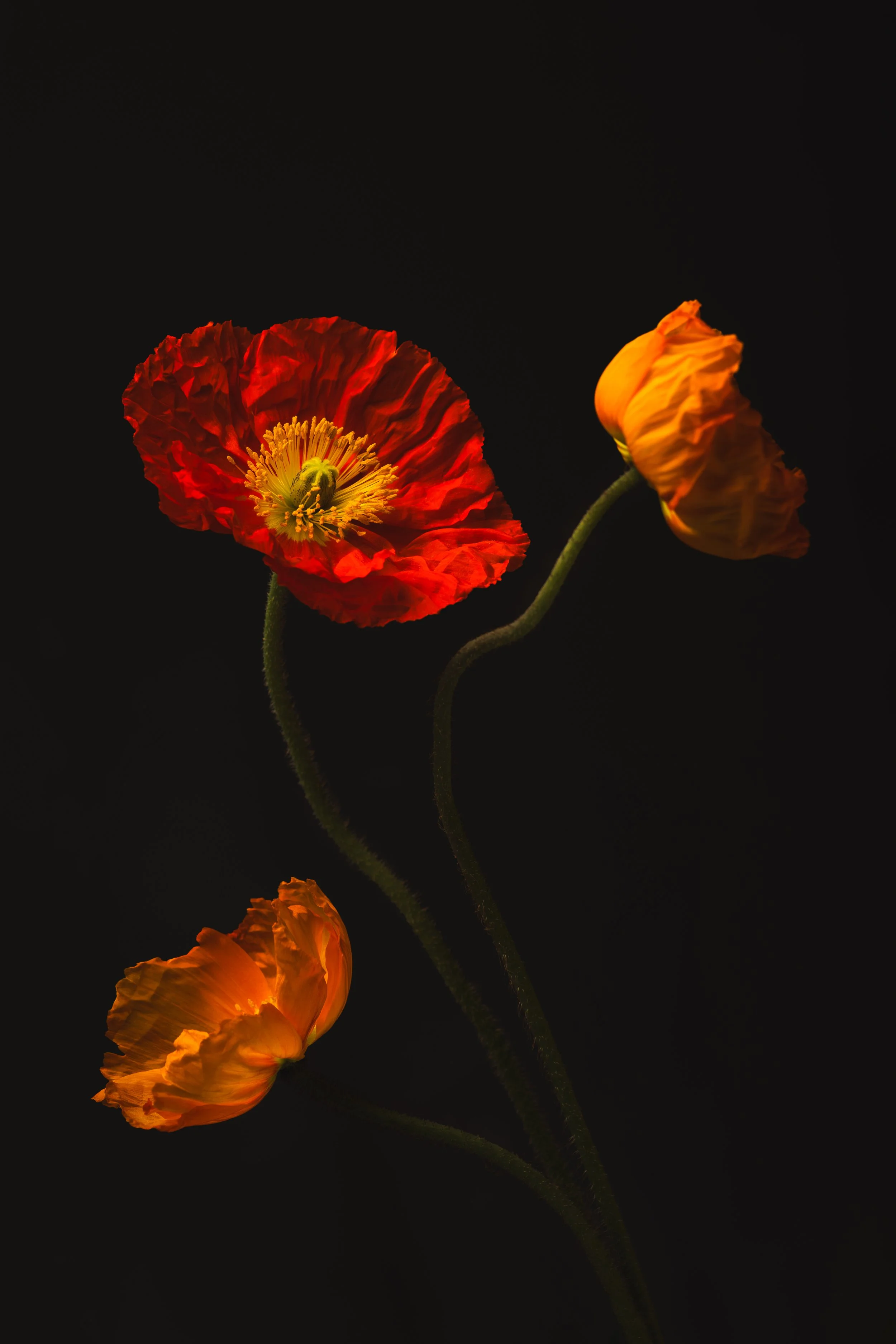 0H6A0702-Edit.jpg