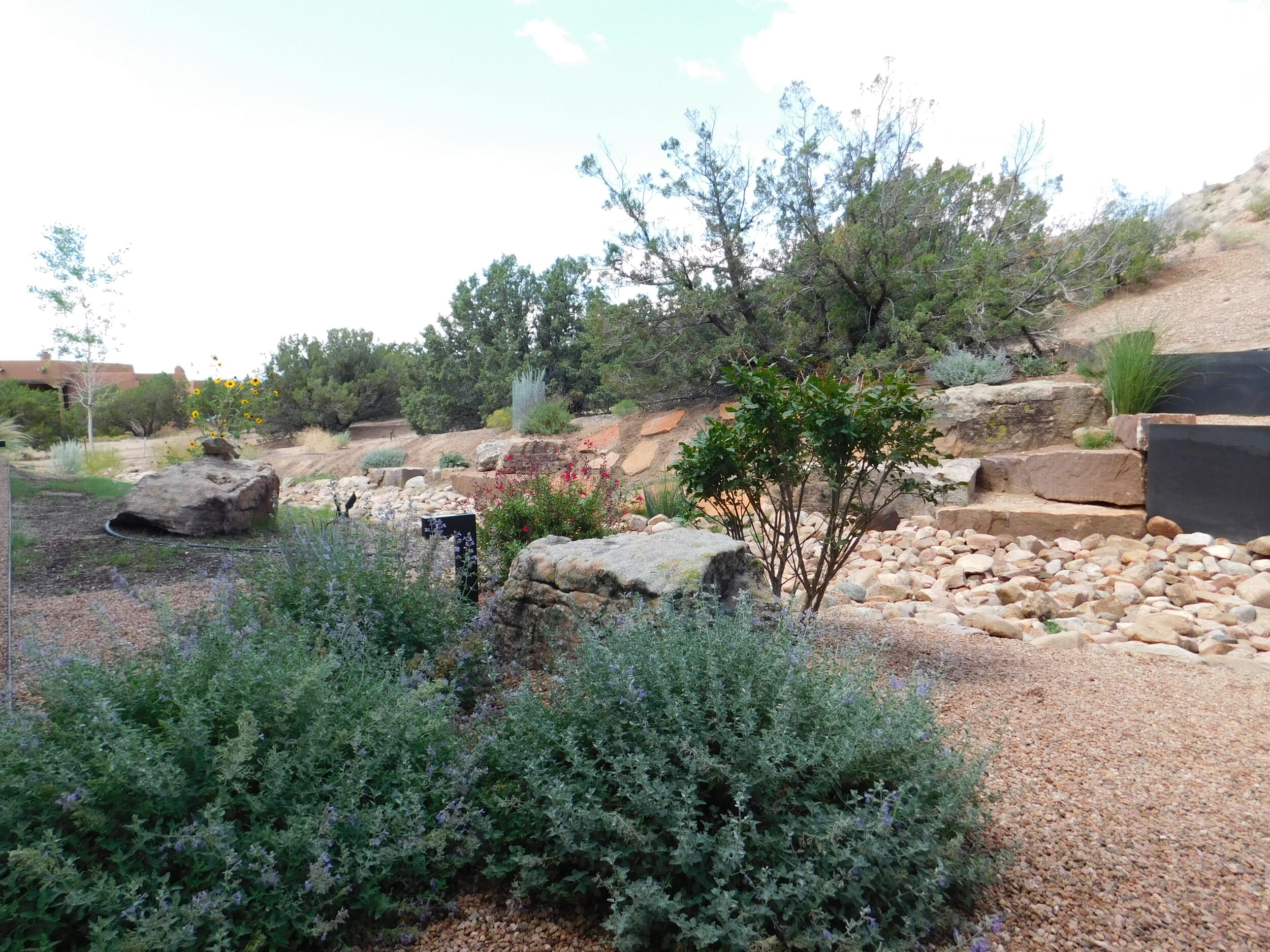 DSCN6028.JPG