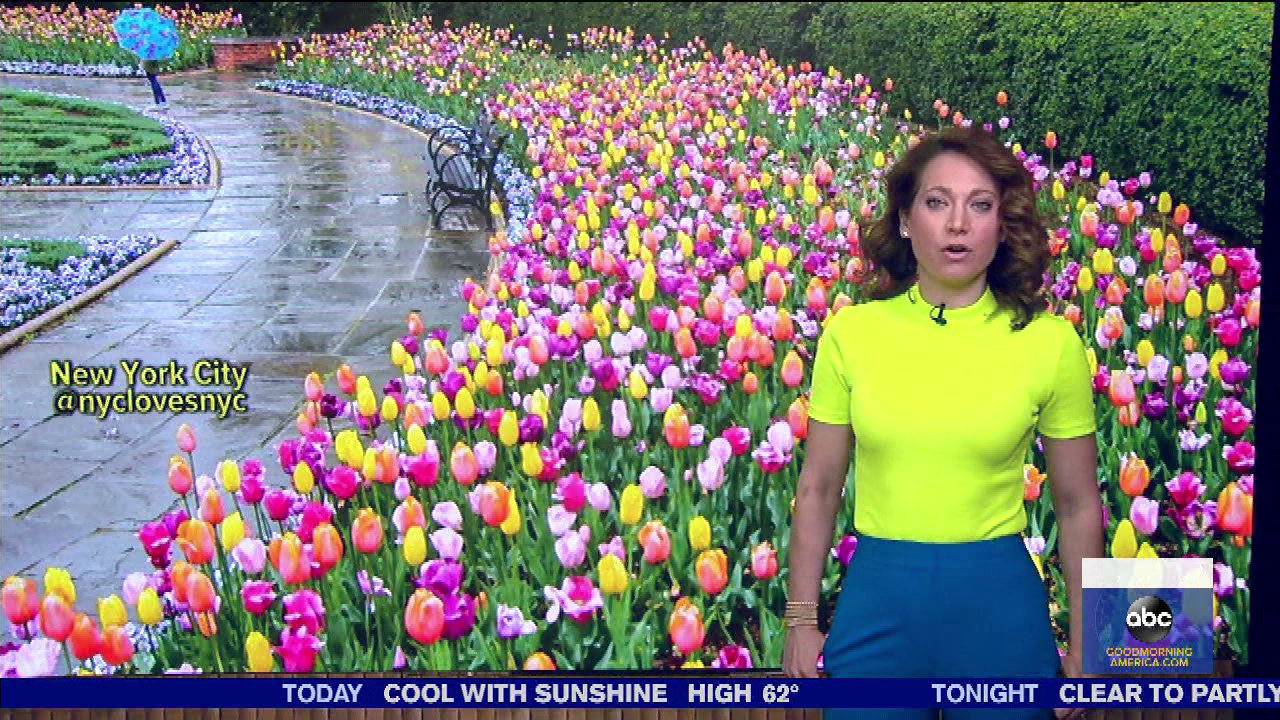 Good Morning America 2020-05-13-0700 (12).png