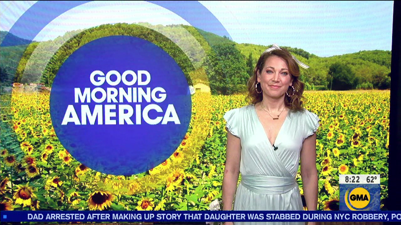 Good Morning America 2020-05-15-0700 (13).png