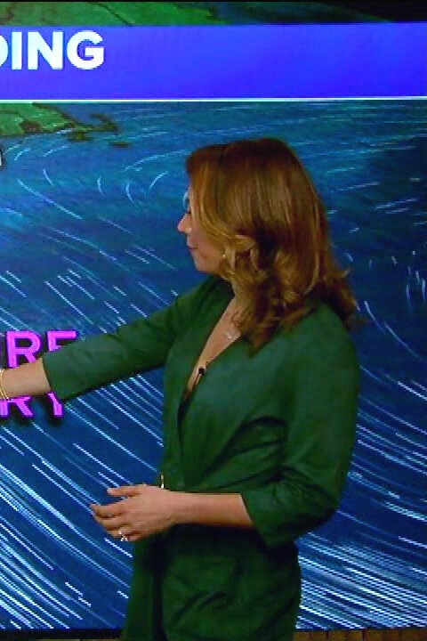 Ginger Zee (5/20/2020)