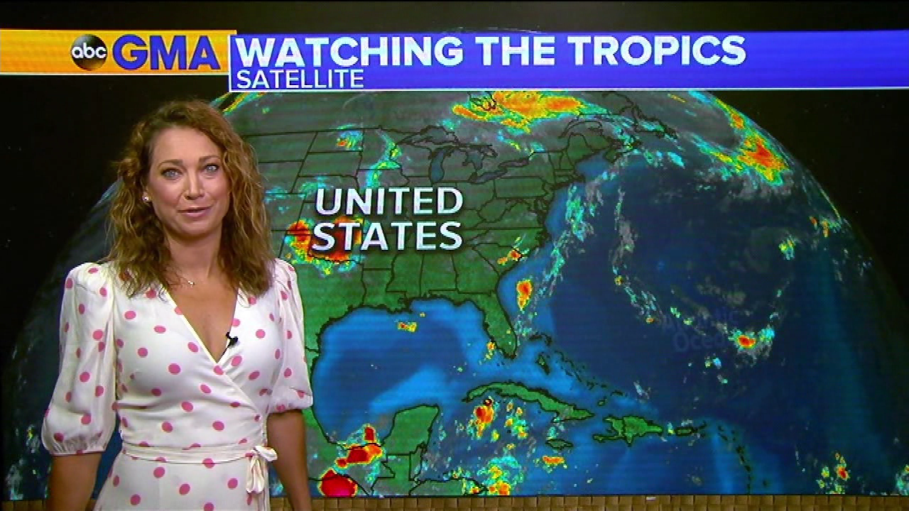 Good Morning America S2020E249 2020-08-05-0700 (08).png