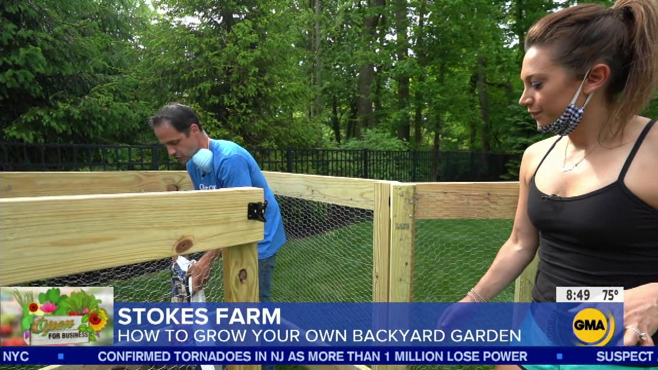 Good Morning America S2020E249 2020-08-05-0700 (28).png