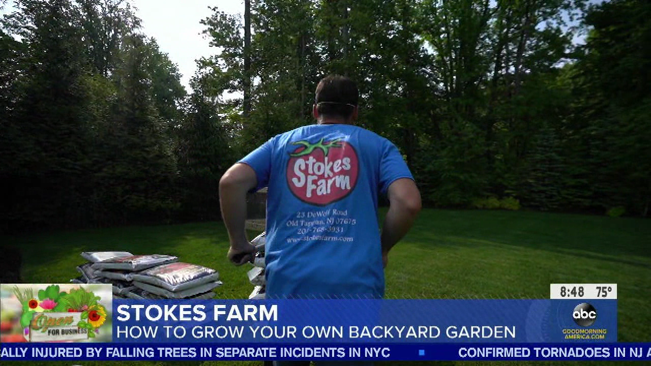 Good Morning America S2020E249 2020-08-05-0700 (24).png