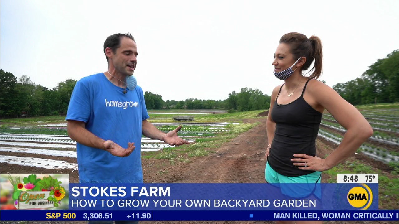 Good Morning America S2020E249 2020-08-05-0700 (22).png