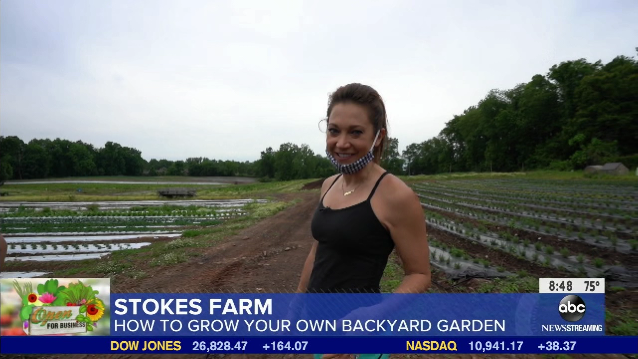 Good Morning America S2020E249 2020-08-05-0700 (17).png