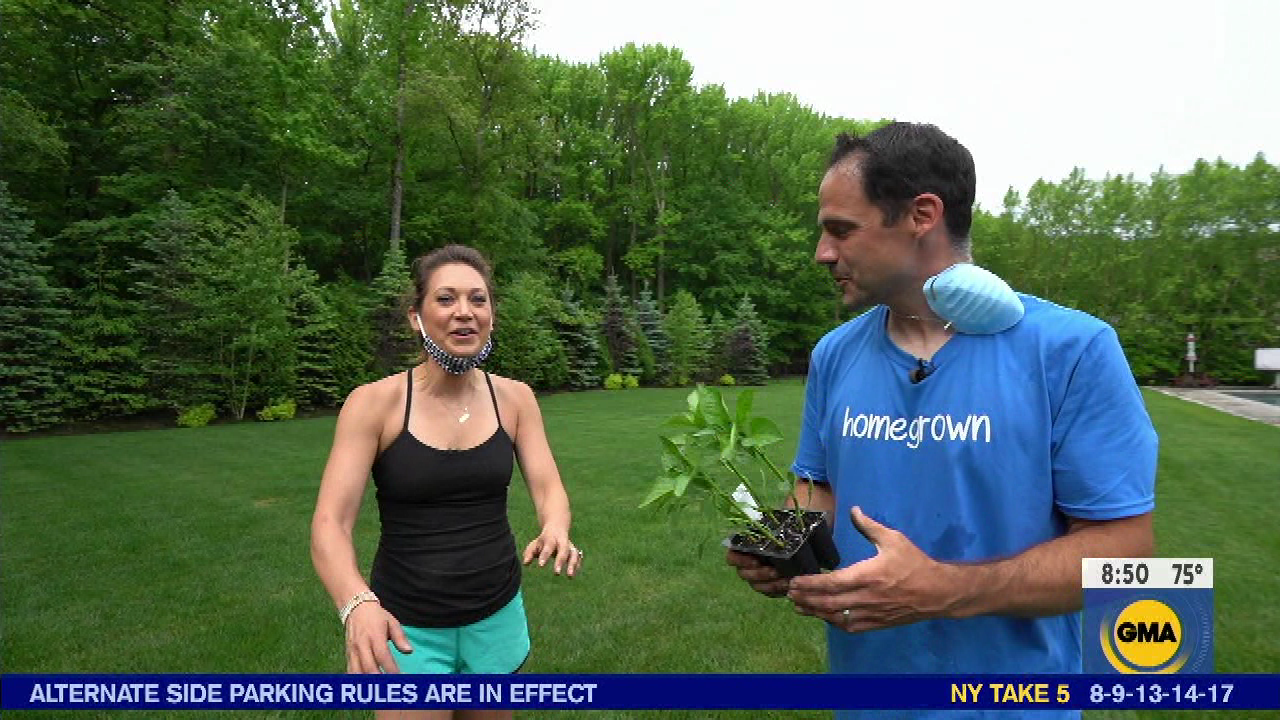 Good Morning America S2020E249 2020-08-05-0700 (41).png