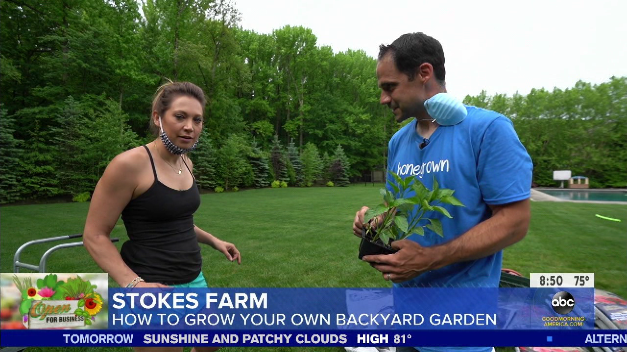 Good Morning America S2020E249 2020-08-05-0700 (40).png
