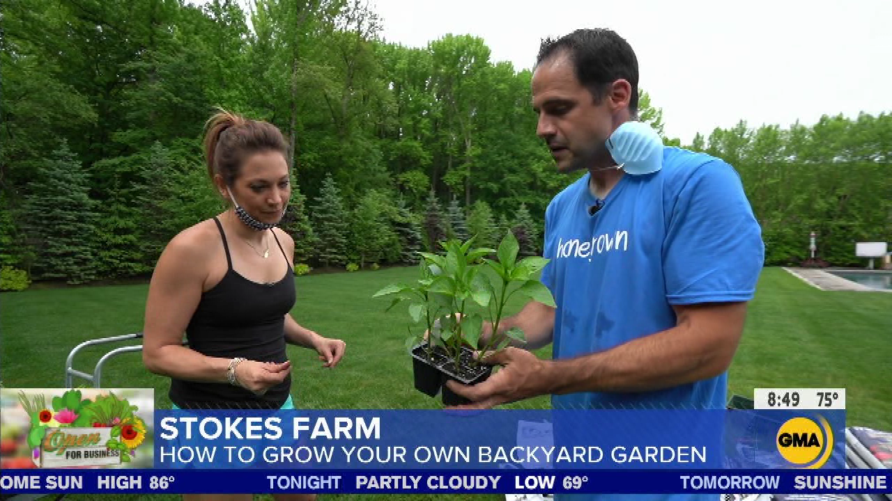Good Morning America S2020E249 2020-08-05-0700 (39).png