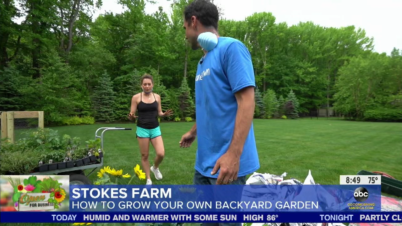 Good Morning America S2020E249 2020-08-05-0700 (38).png