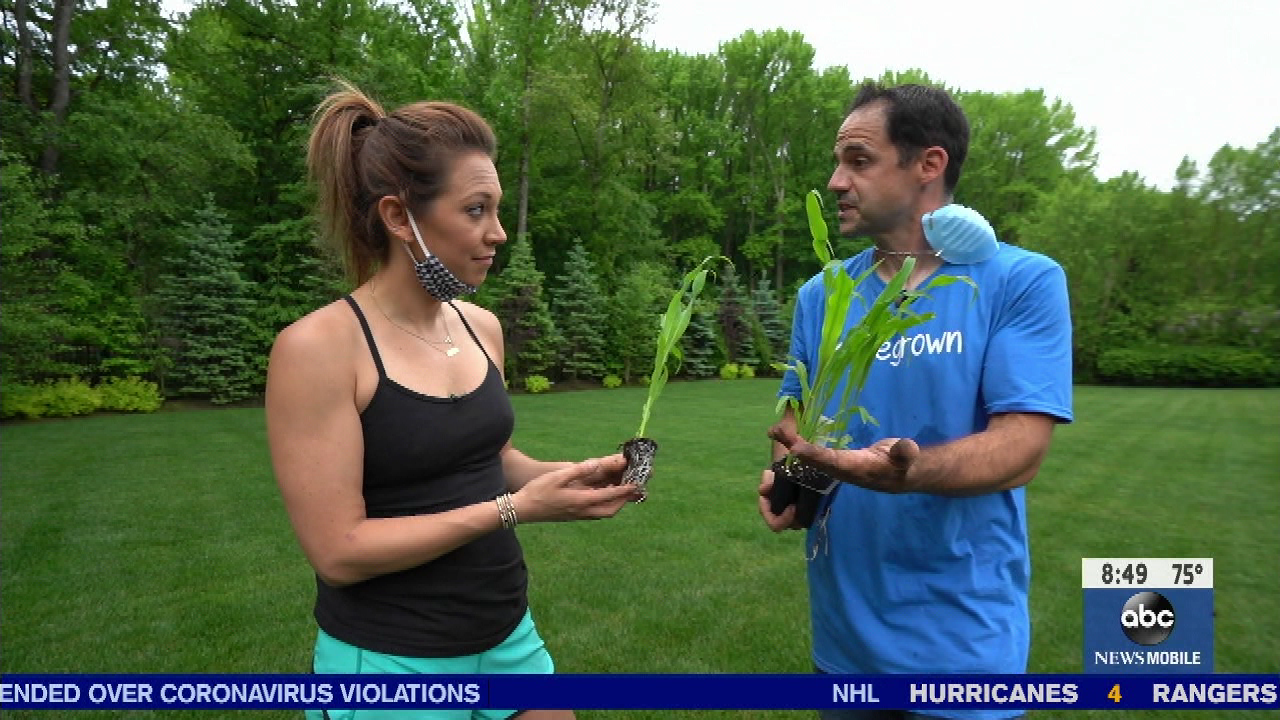 Good Morning America S2020E249 2020-08-05-0700 (37).png