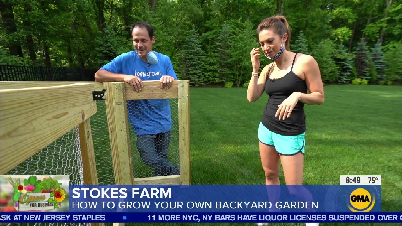 Good Morning America S2020E249 2020-08-05-0700 (34).png