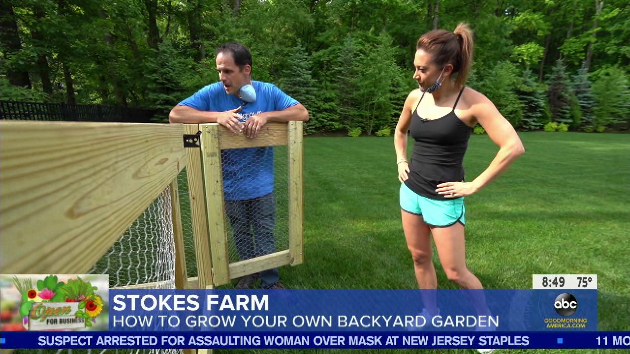 Good Morning America S2020E249 2020-08-05-0700 (32).png
