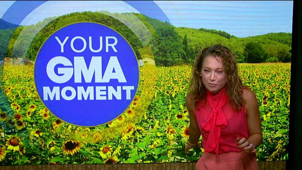 Good Morning America S2020E264 2020-08-18-0700 (16).png