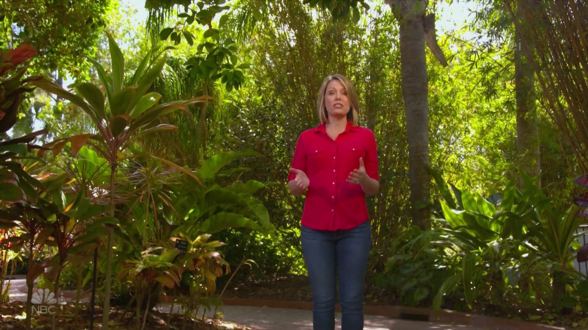 Earth Odyssey With Dylan Dreyer S02E31 2020-04-18 The Amazing Amazon 2020-09-26-1000 (07).png