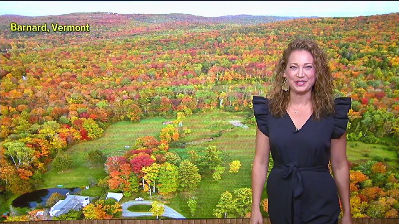 Good Morning America S2020E315 2020-10-02-0700 (20).png