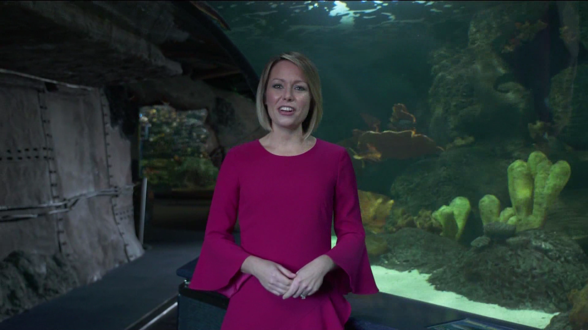 Earth Odyssey With Dylan Dreyer S01E04 2019-01-26 China 2020-10-04-1200 (21).png