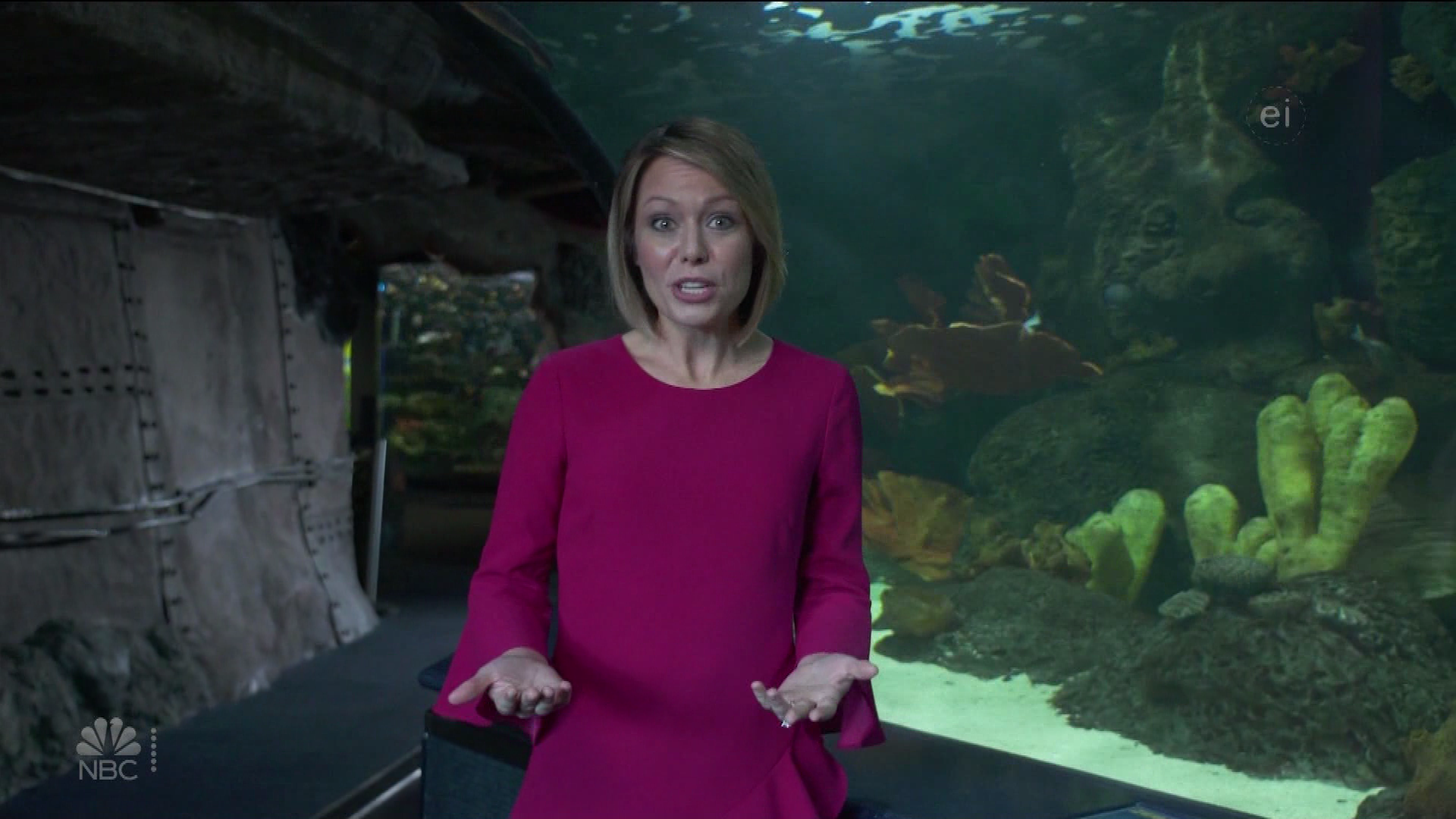 Earth Odyssey With Dylan Dreyer S01E04 2019-01-26 China 2020-10-04-1200 (20).png