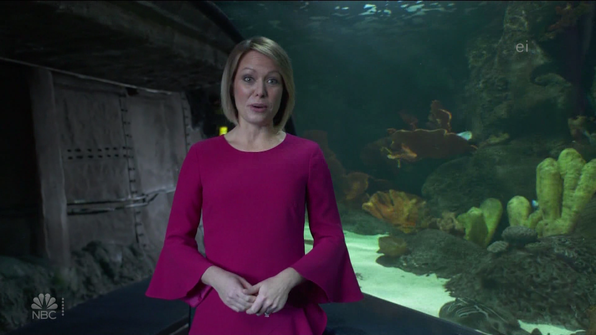 Earth Odyssey With Dylan Dreyer S01E04 2019-01-26 China 2020-10-04-1200 (18).png