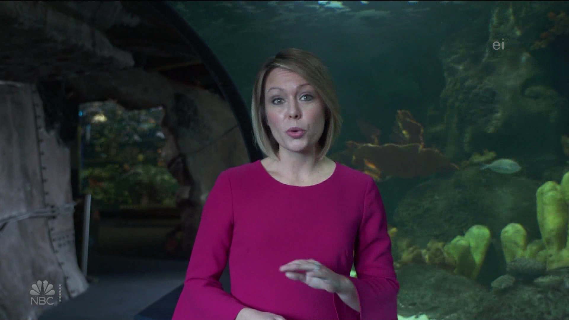 Earth Odyssey With Dylan Dreyer S01E04 2019-01-26 China 2020-10-04-1200 (15).png