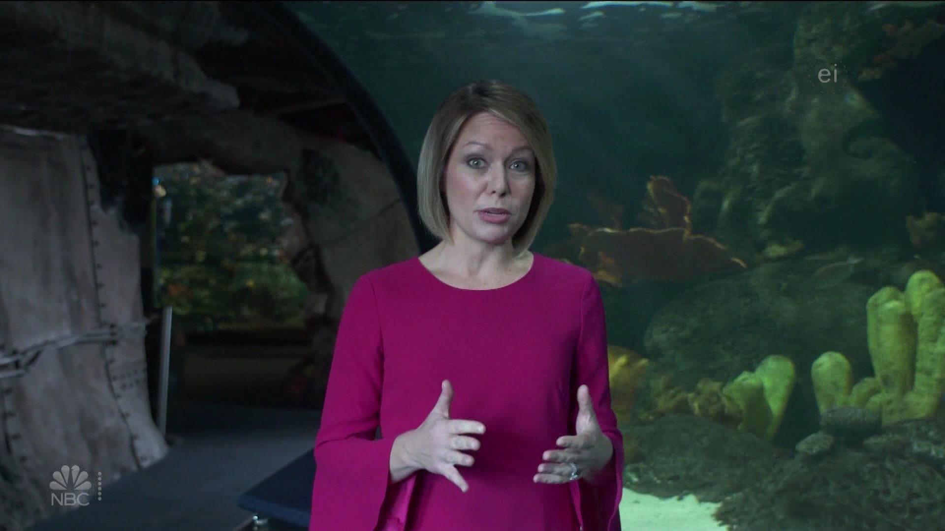 Earth Odyssey With Dylan Dreyer S01E04 2019-01-26 China 2020-10-04-1200 (14).png