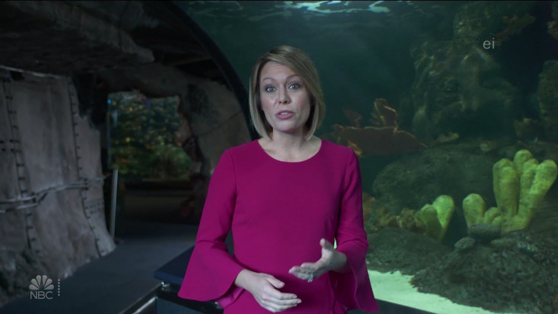 Earth Odyssey With Dylan Dreyer S01E04 2019-01-26 China 2020-10-04-1200 (13).png