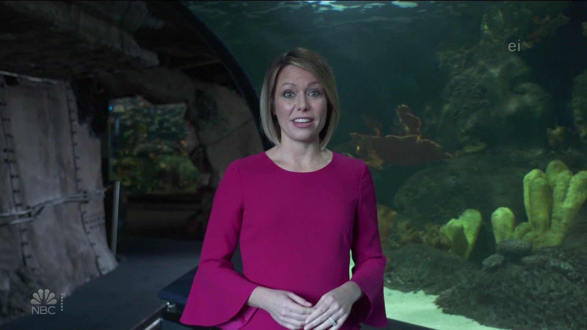 Earth Odyssey With Dylan Dreyer S01E04 2019-01-26 China 2020-10-04-1200 (12).png