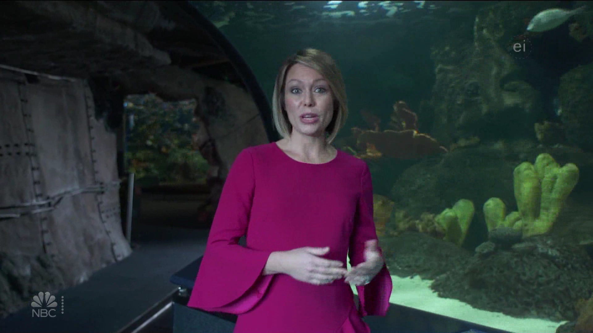 Earth Odyssey With Dylan Dreyer S01E04 2019-01-26 China 2020-10-04-1200 (10).png