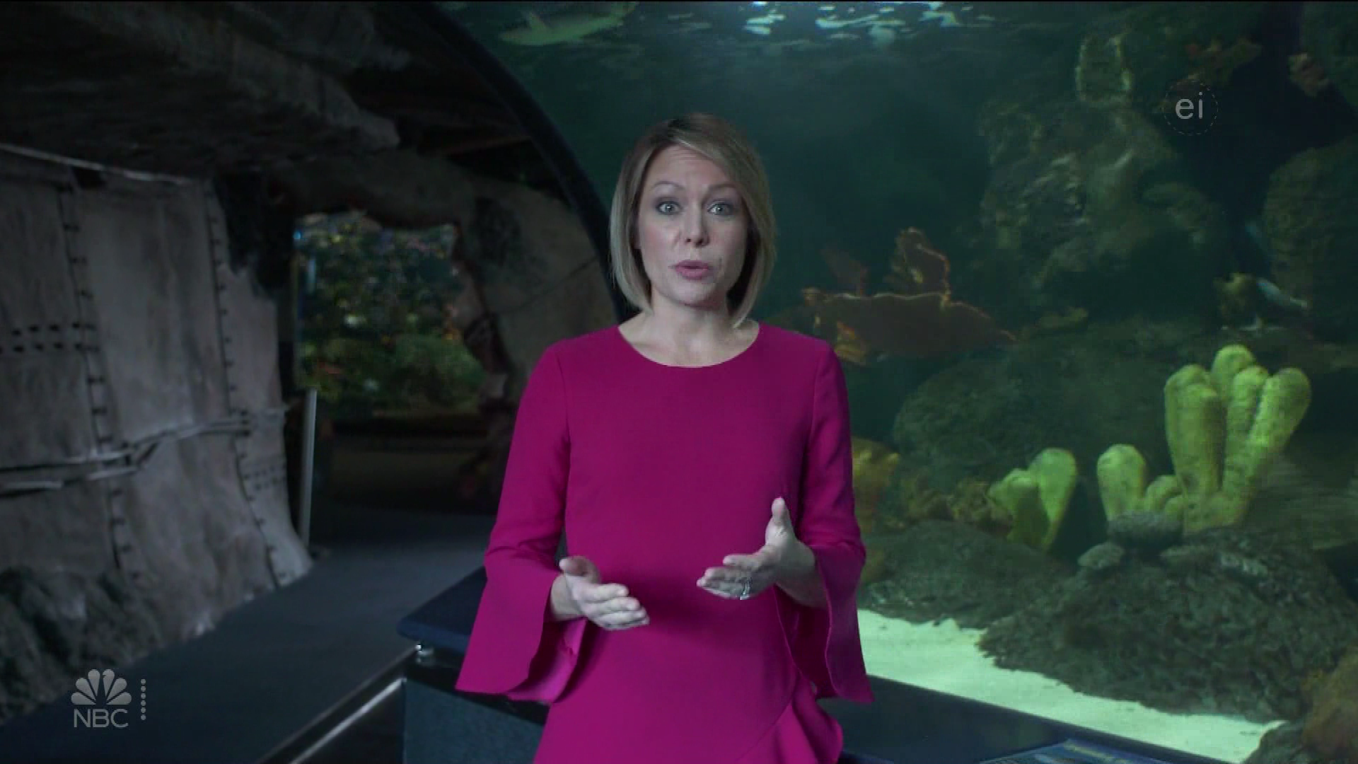 Earth Odyssey With Dylan Dreyer S01E04 2019-01-26 China 2020-10-04-1200 (11).png