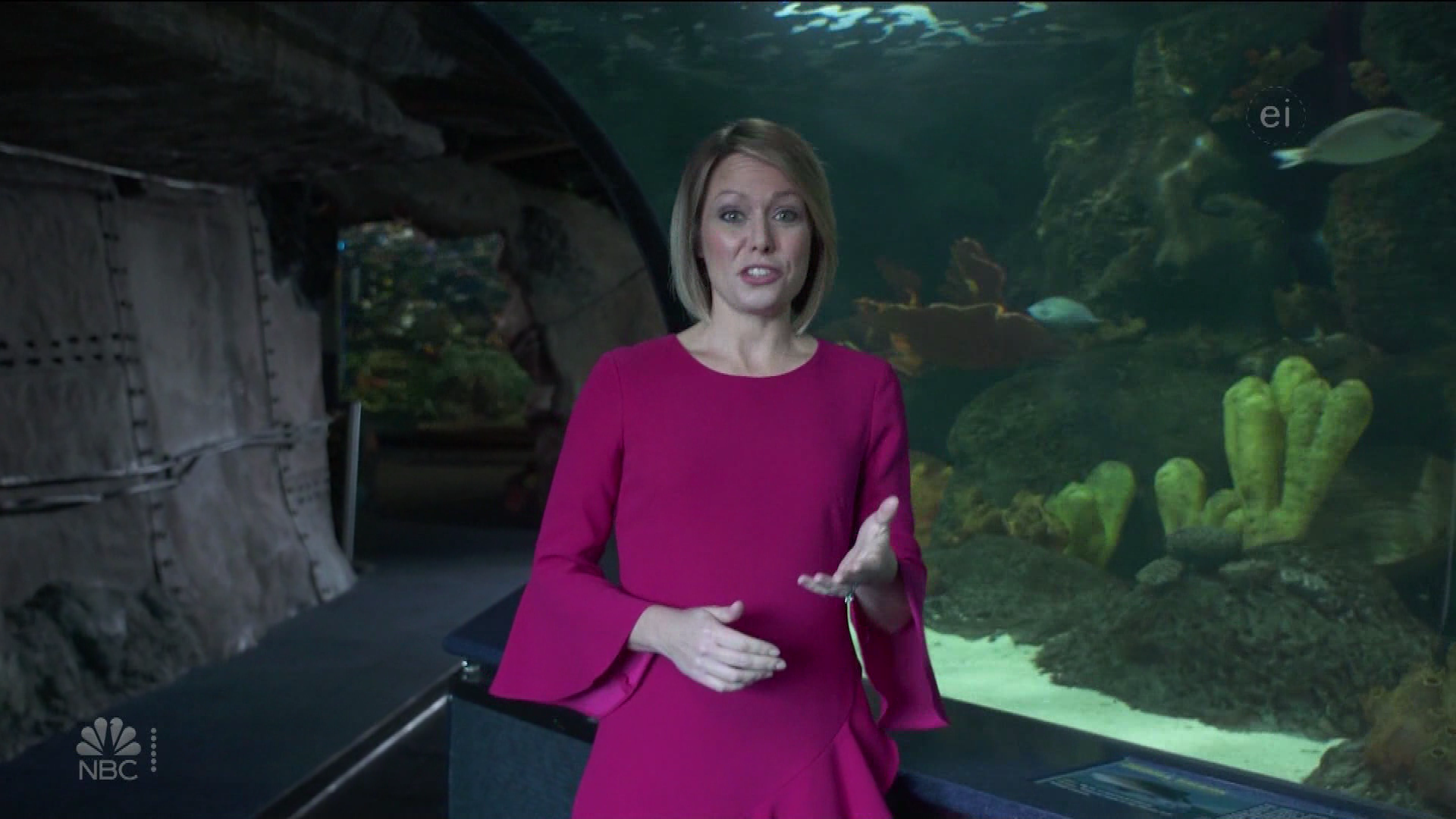 Earth Odyssey With Dylan Dreyer S01E04 2019-01-26 China 2020-10-04-1200 (09).png