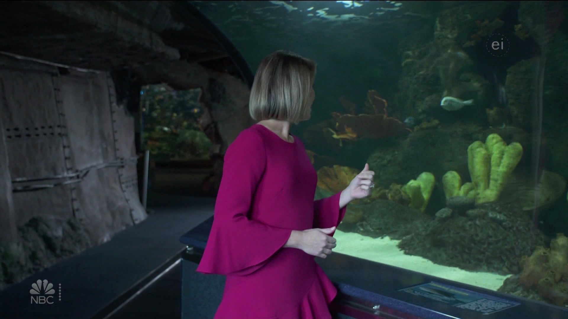 Earth Odyssey With Dylan Dreyer S01E04 2019-01-26 China 2020-10-04-1200 (08).png
