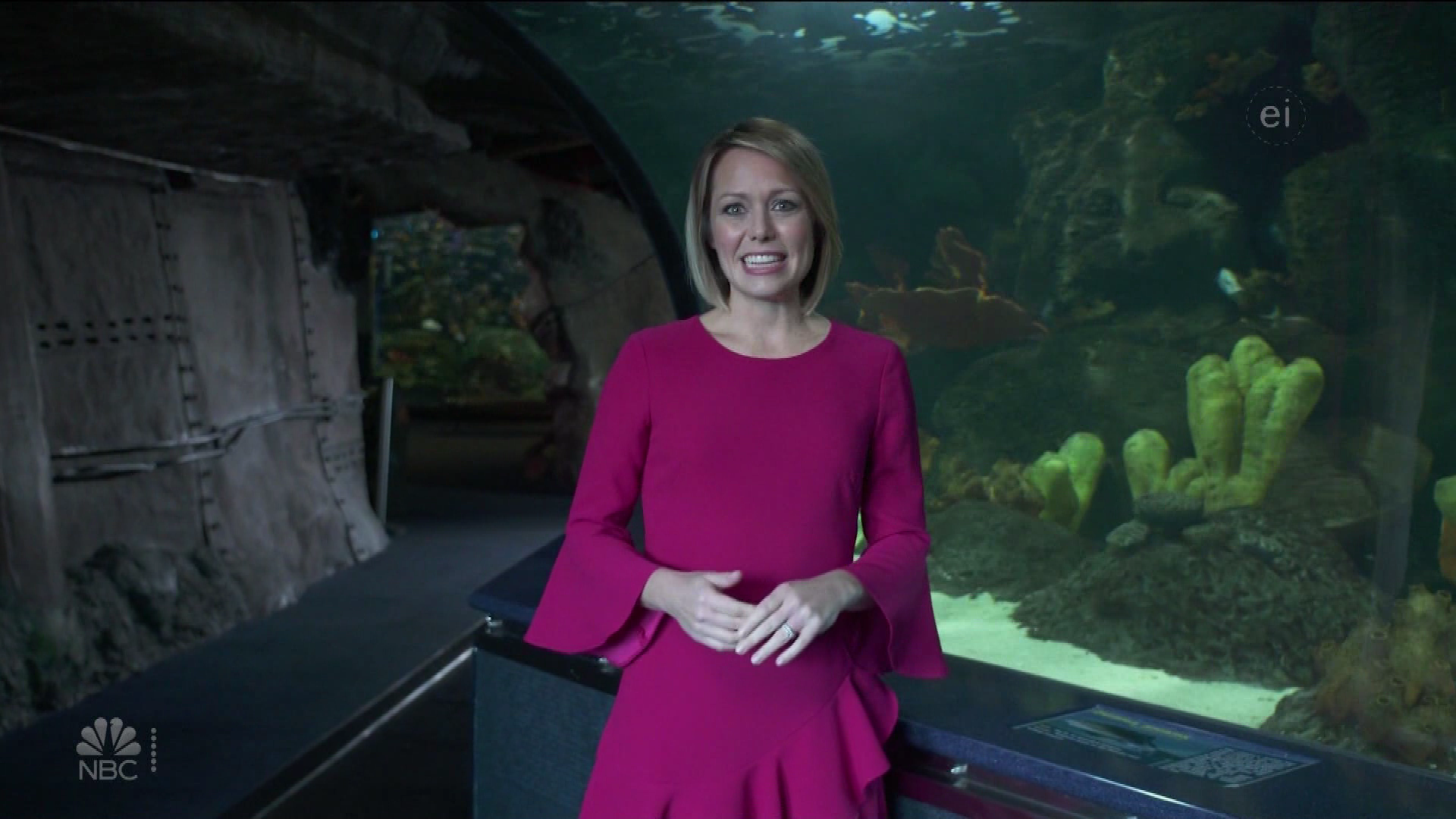 Earth Odyssey With Dylan Dreyer S01E04 2019-01-26 China 2020-10-04-1200 (07).png