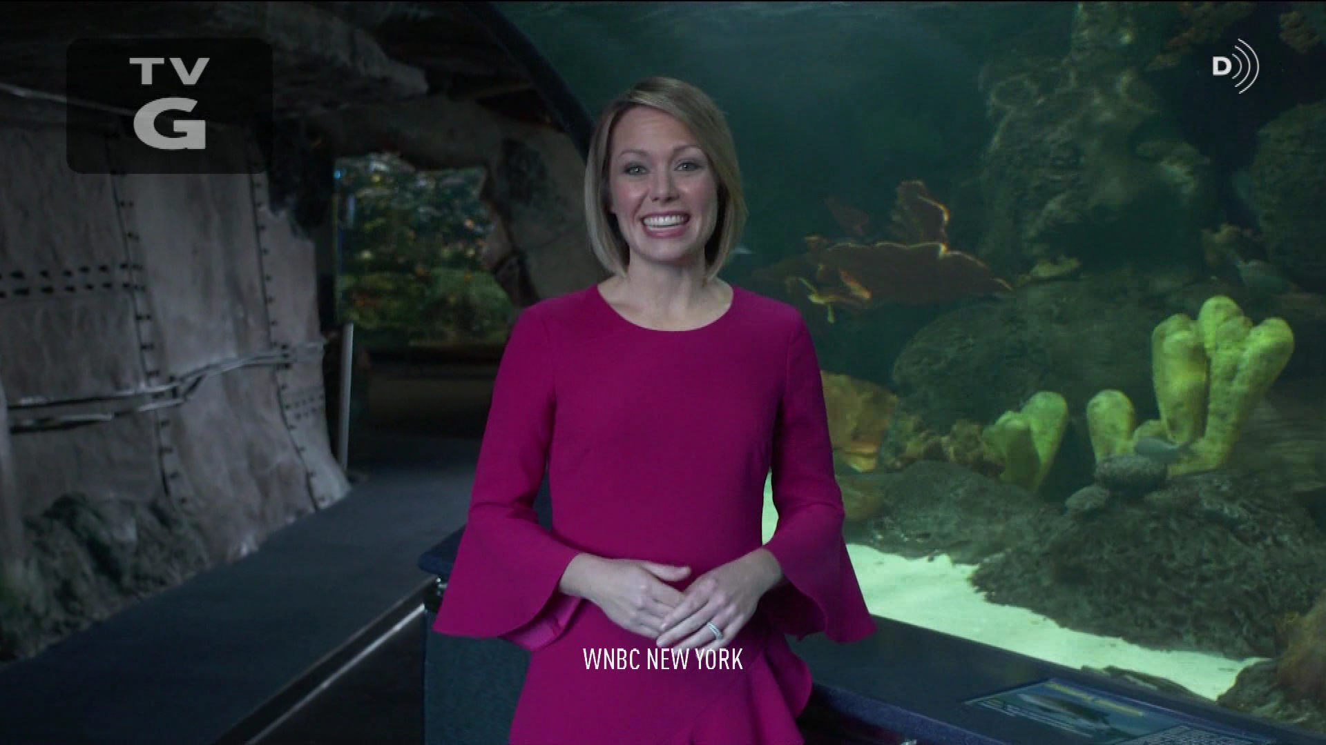 Earth Odyssey With Dylan Dreyer S01E04 2019-01-26 China 2020-10-04-1200 (05).png