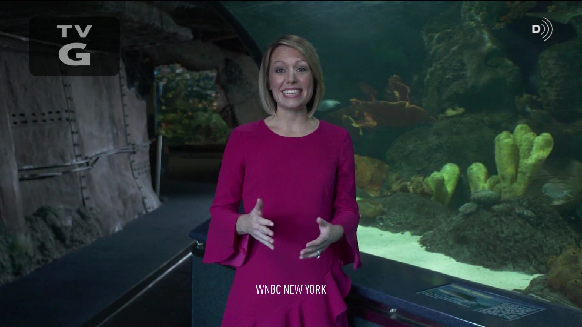 Earth Odyssey With Dylan Dreyer S01E04 2019-01-26 China 2020-10-04-1200 (03).png