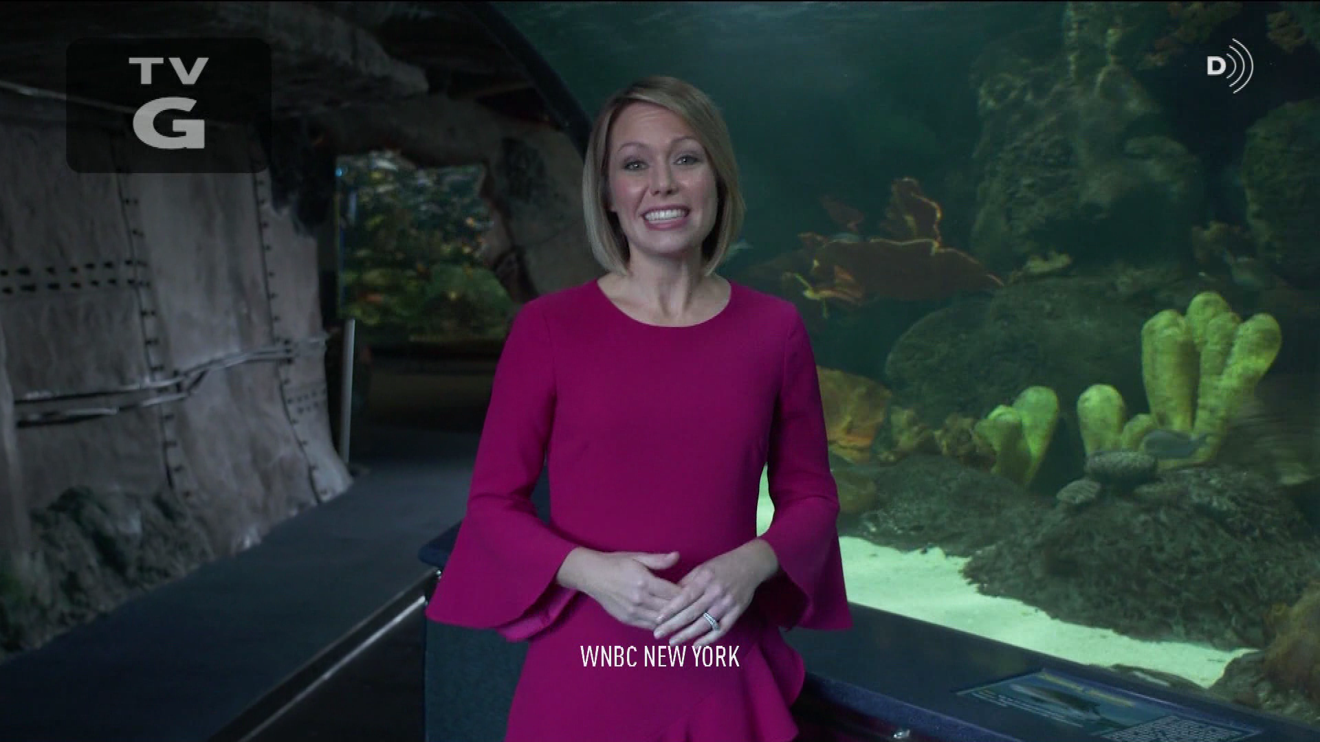 Earth Odyssey With Dylan Dreyer S01E04 2019-01-26 China 2020-10-04-1200 (04).png