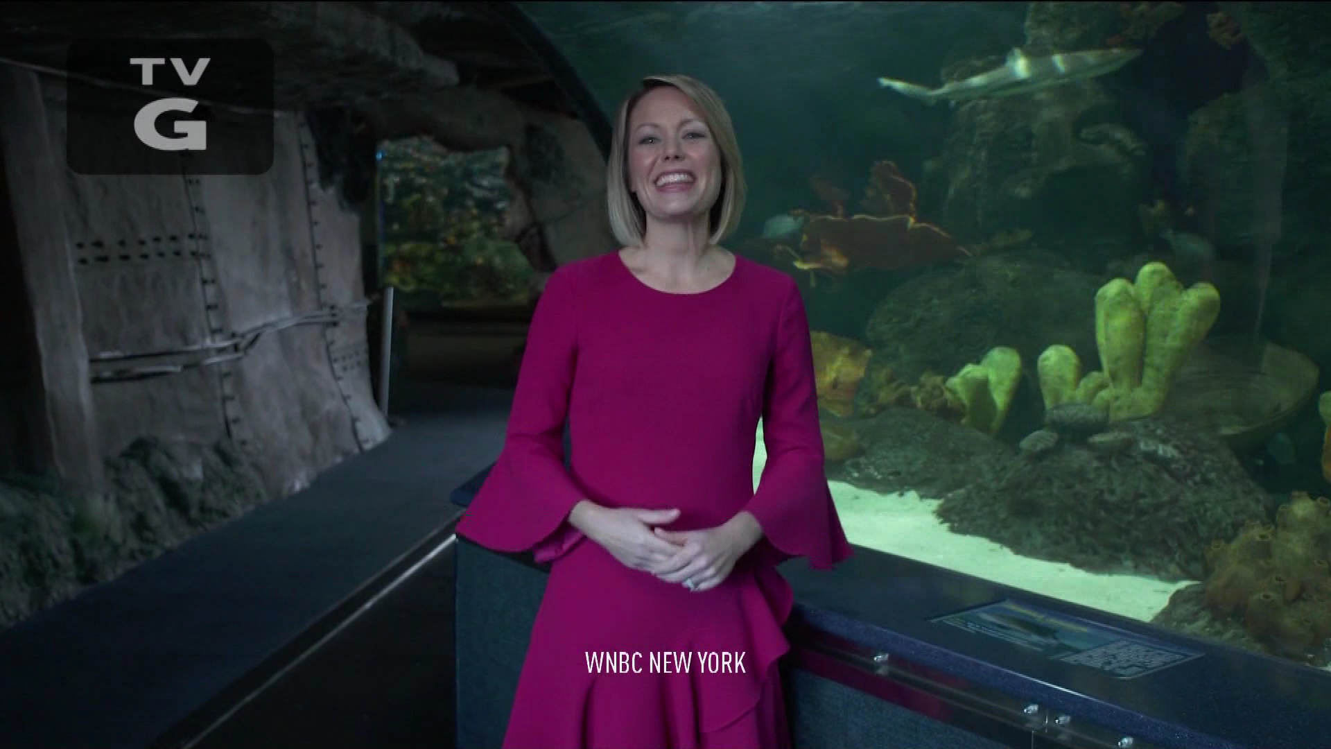 Earth Odyssey With Dylan Dreyer S01E04 2019-01-26 China 2020-10-04-1200.png