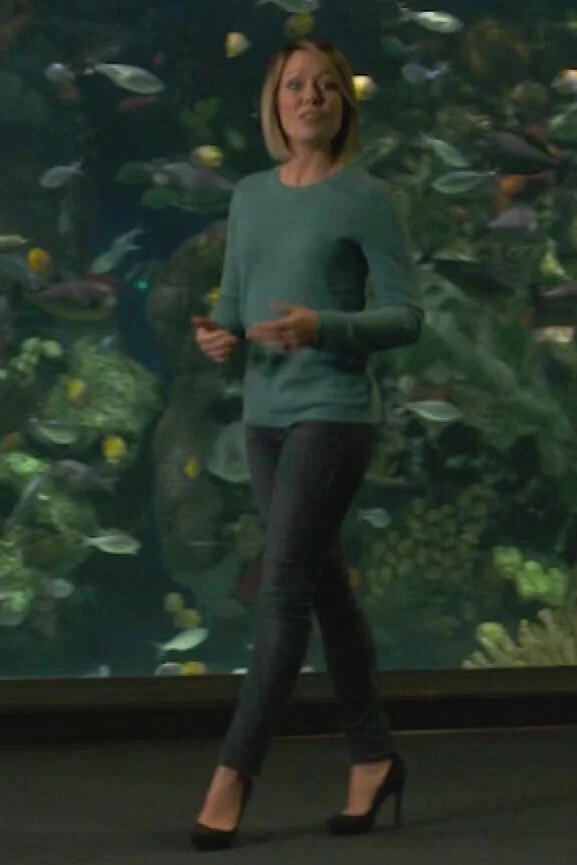 Casual Dylan Dreyer (10/17/2020)