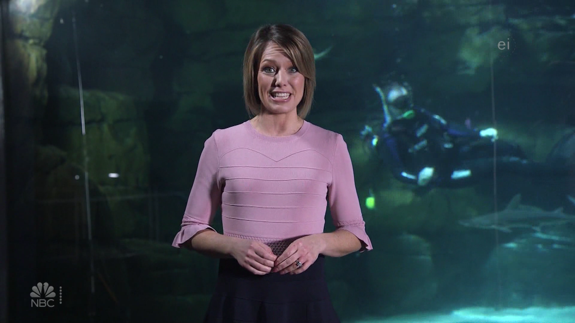 Earth Odyssey With Dylan Dreyer S01E14 2019-05-18 Mother Knows Best 2020-11-14-1030 (12).png