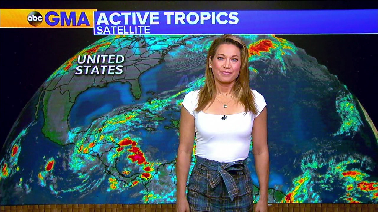 Good Morning America S2020E369 2020-11-18-0700.png
