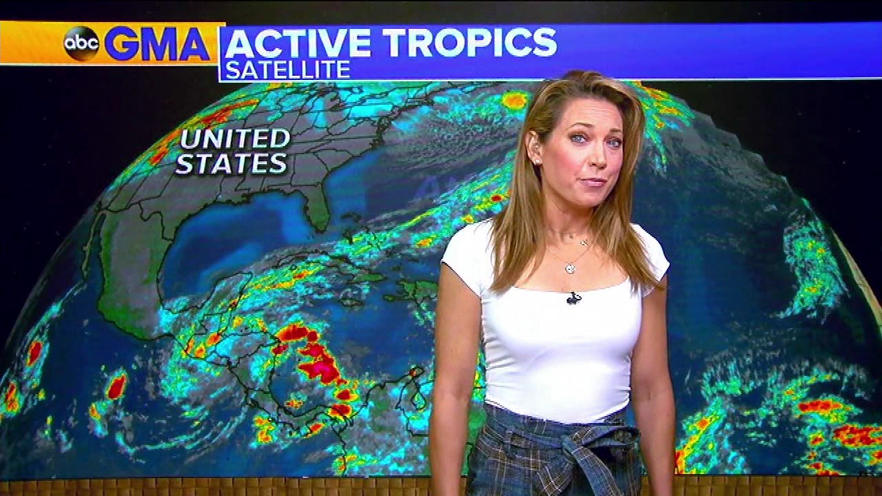 Good Morning America S2020E369 2020-11-18-0700 (03).png