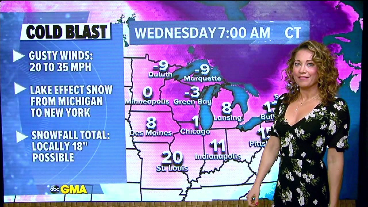 Good Morning America S2021E22 2021-01-19-0700 (17).png