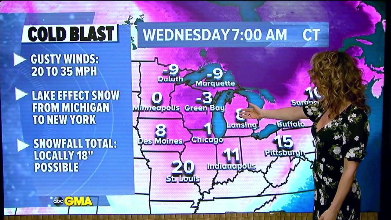 Good Morning America S2021E22 2021-01-19-0700 (16).png