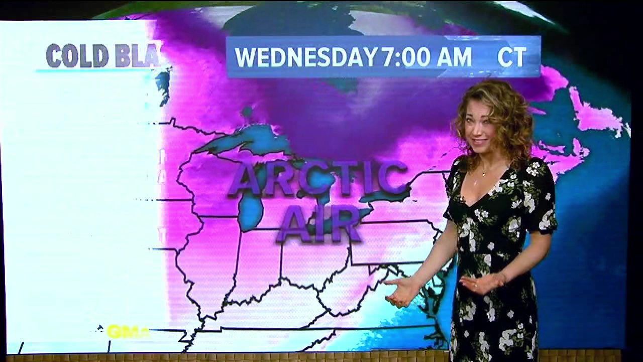Good Morning America S2021E22 2021-01-19-0700 (14).png