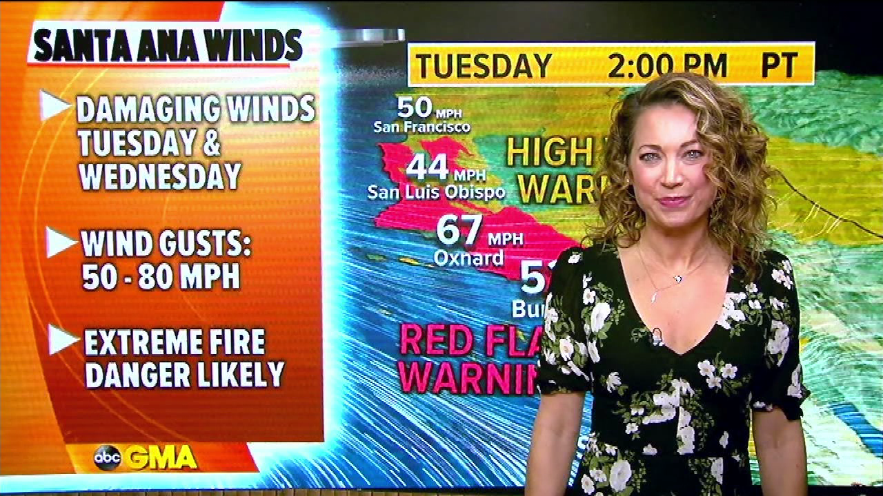 Good Morning America S2021E22 2021-01-19-0700 (08).png
