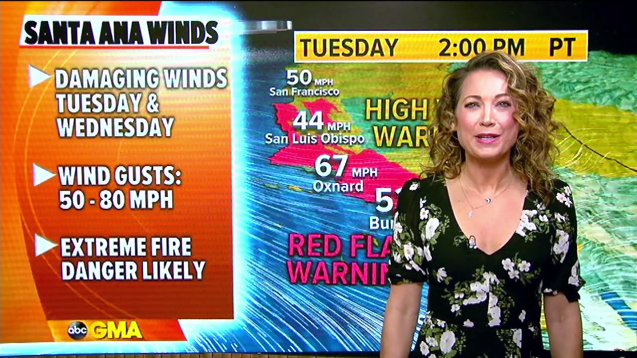 Good Morning America S2021E22 2021-01-19-0700 (07).png