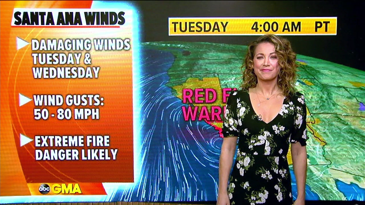 Good Morning America S2021E22 2021-01-19-0700 (03).png